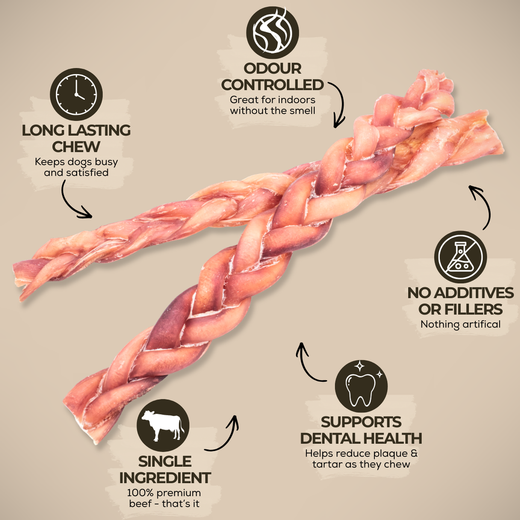 Bâtonnets de bœuf tressés standards 12 po