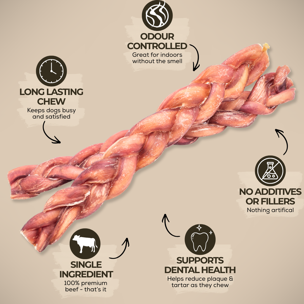 Bâtonnets de bœuf tressés épais 12 po