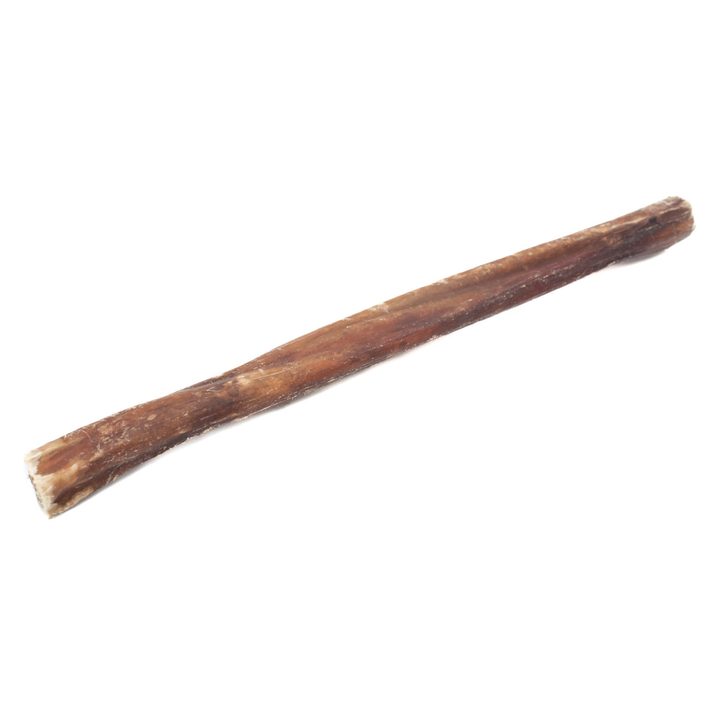 Champion Chew 12 in
