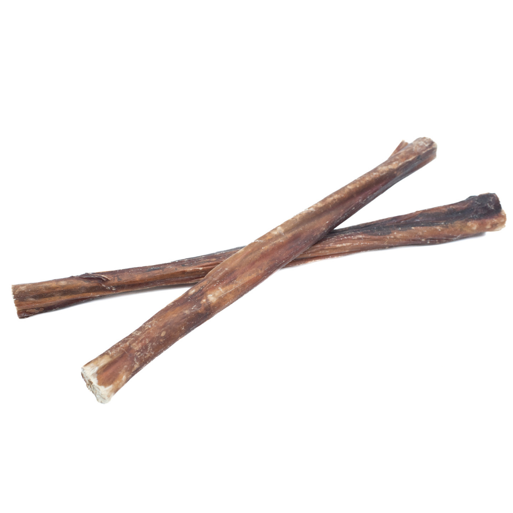 Champion Chew 12 in
