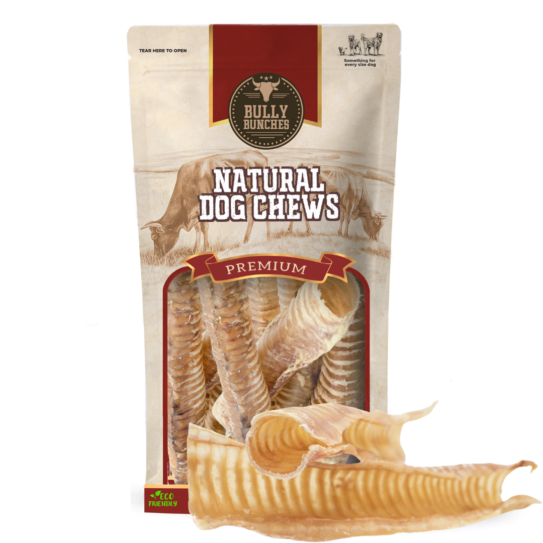Trachée de bœuf 12 po