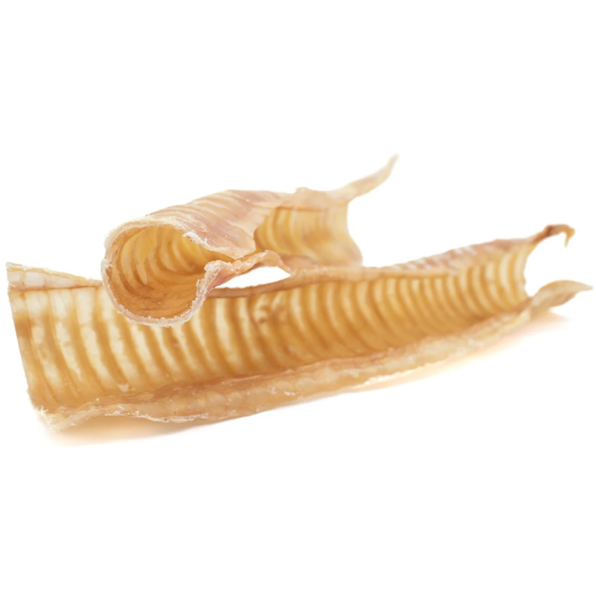 Trachée de bœuf 12 po
