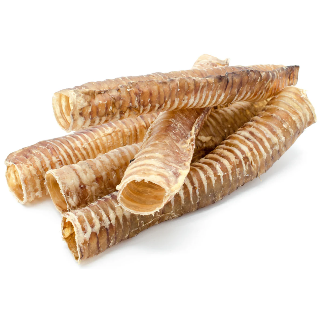 Trachée de bœuf 12 po