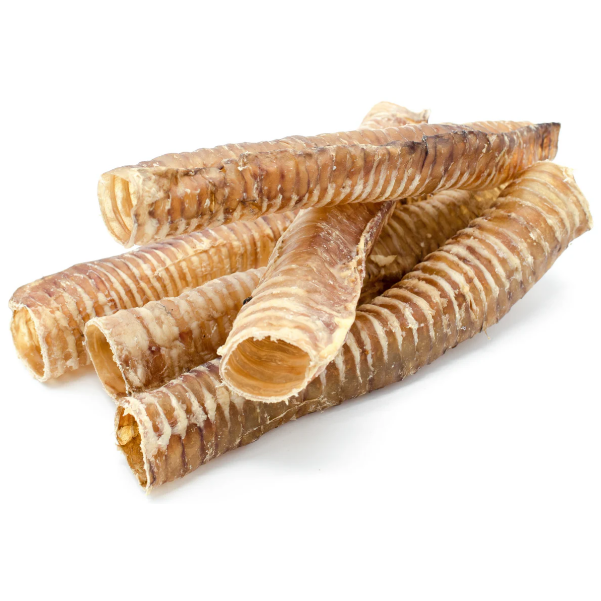 Trachée de bœuf 12 po