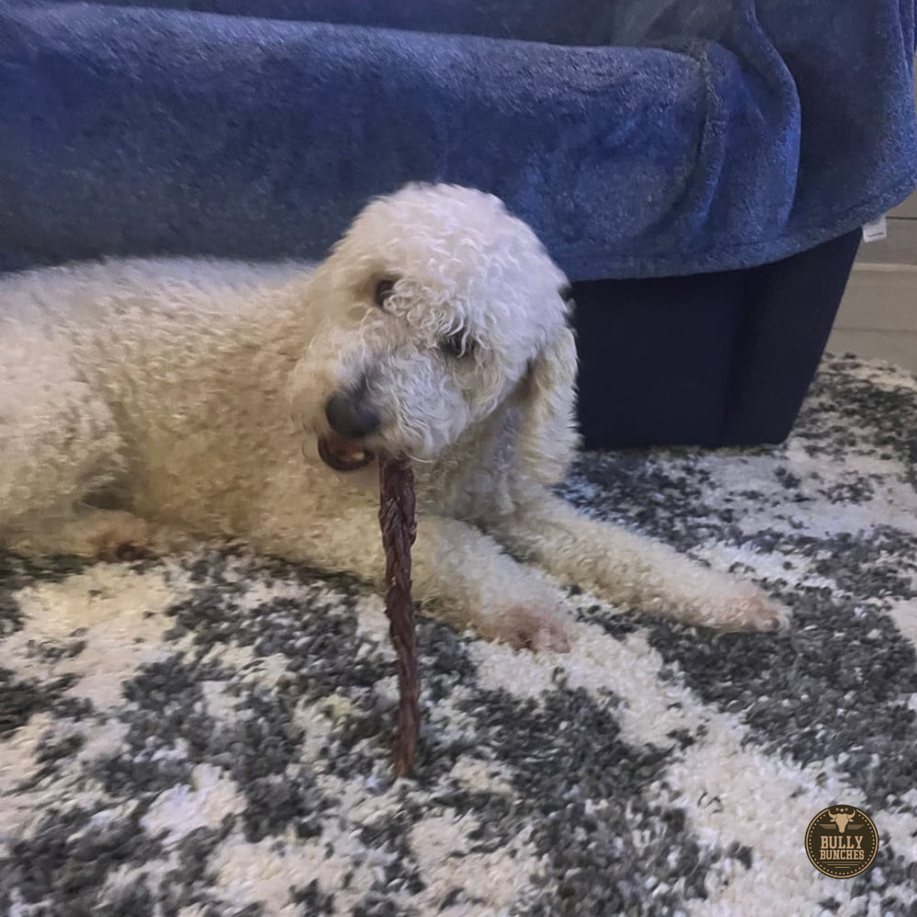 12-inch Braided Beef Jerky Treats