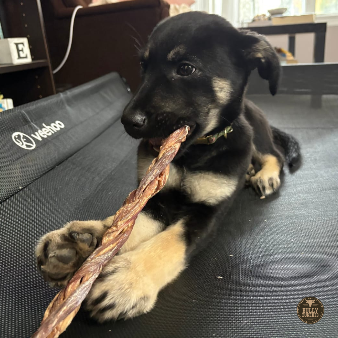 12-inch Braided Beef Jerky Treats