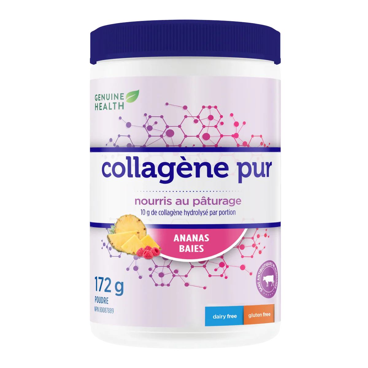 Collagène Bovin pur