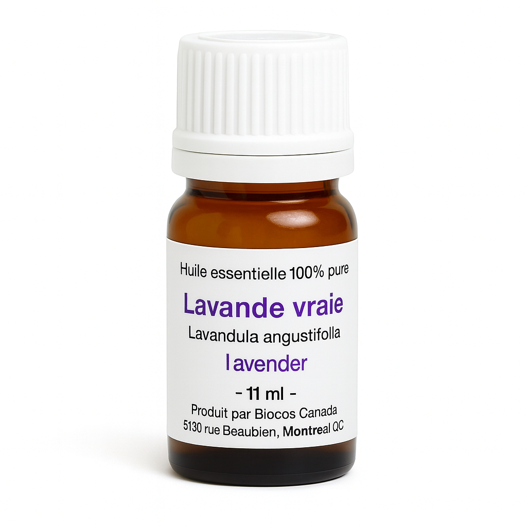 Lavande vraie