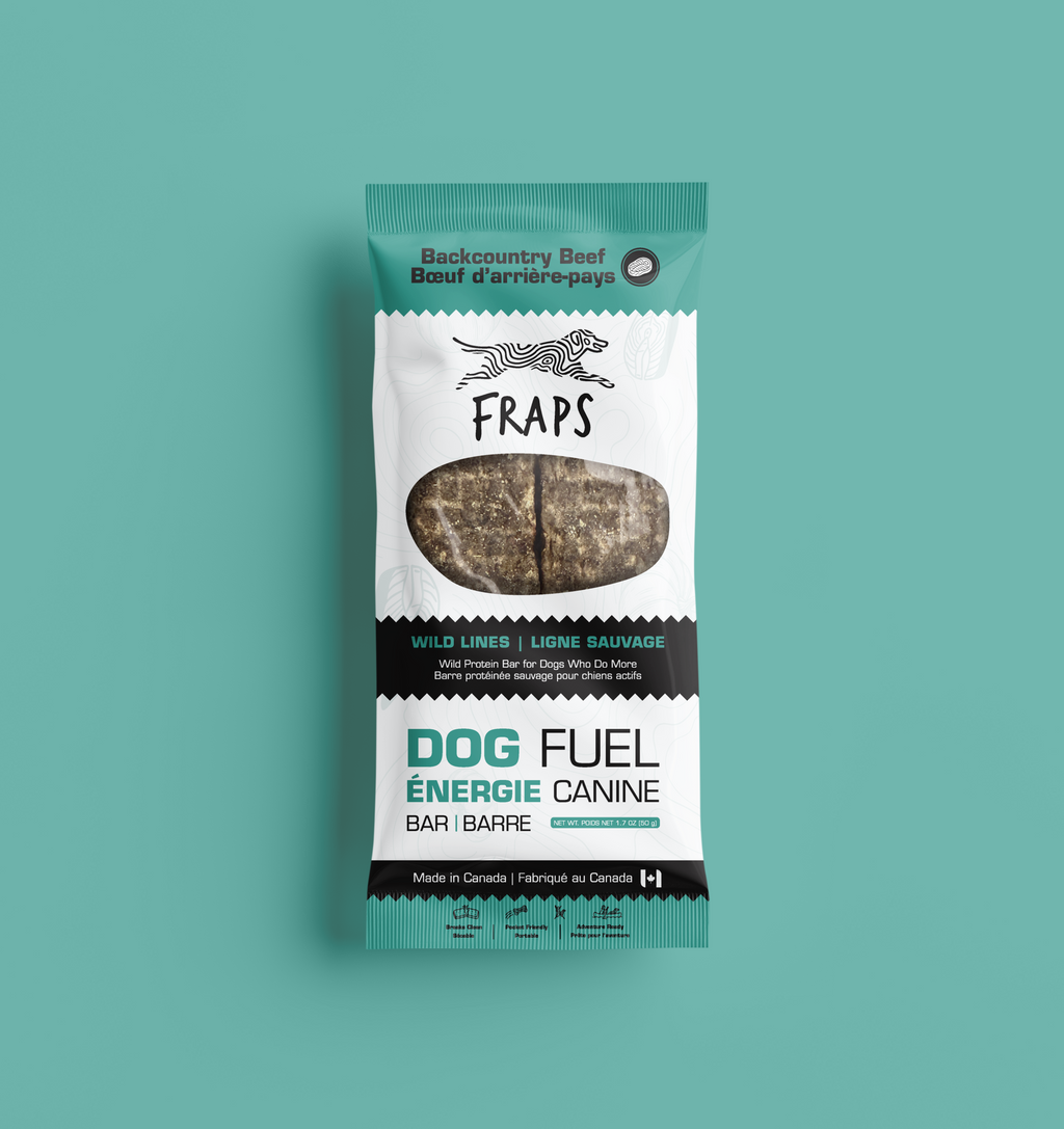 Beef and Pumpkin Energy Bar for Dogs