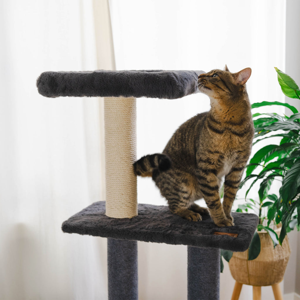 3-Tier Deluxe Cat Tree