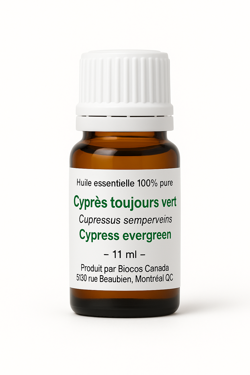 Cyprès toujours vert