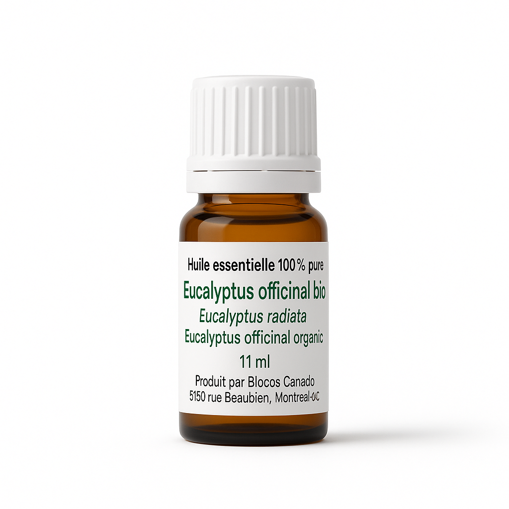 Eucalyptus officinal (Radiata)