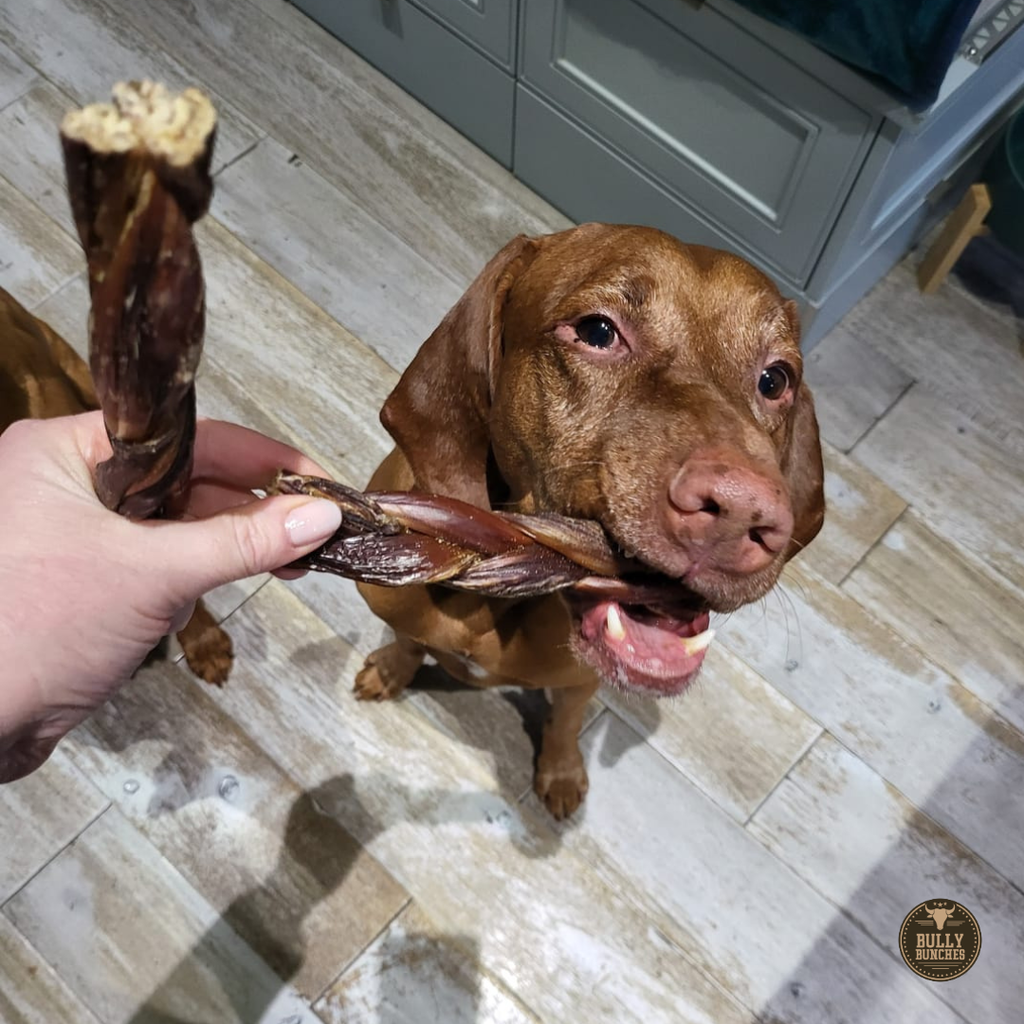 Bâtonnets de viande de bœuf séchée tressés 6 po