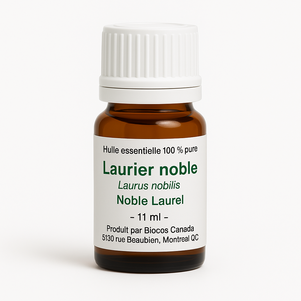 Laurier noble