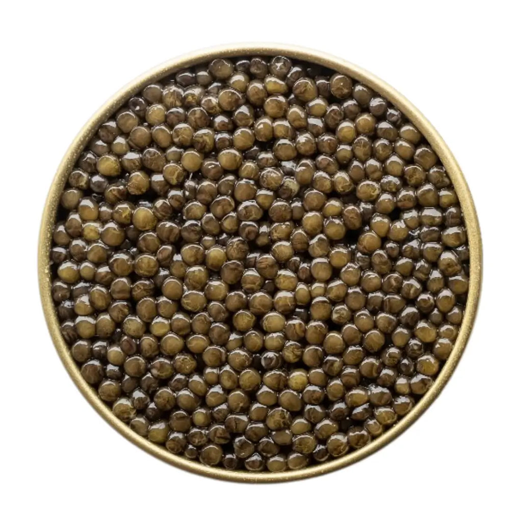 Caviar Amur – Acipenser schrenckii