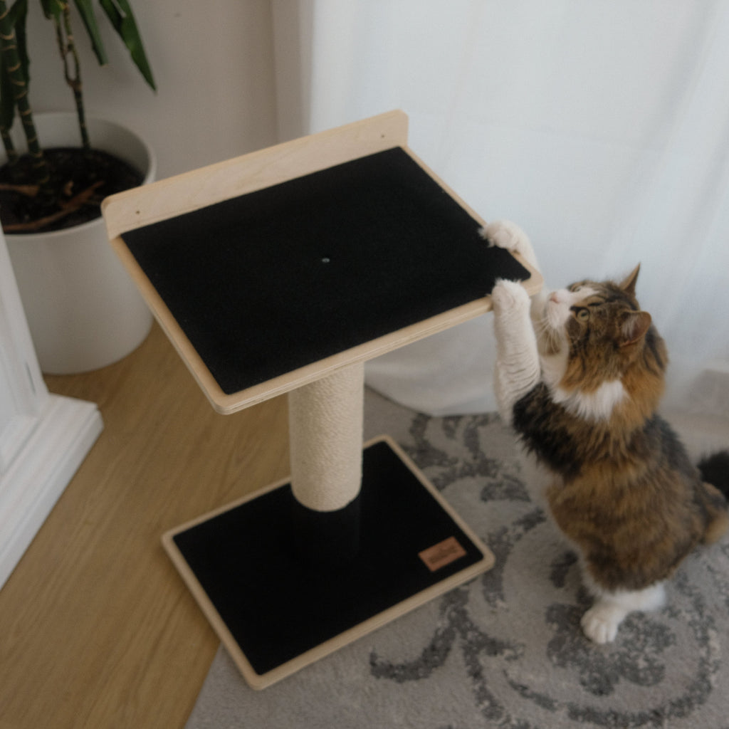 Plywood Cat Tree – 1 Tier