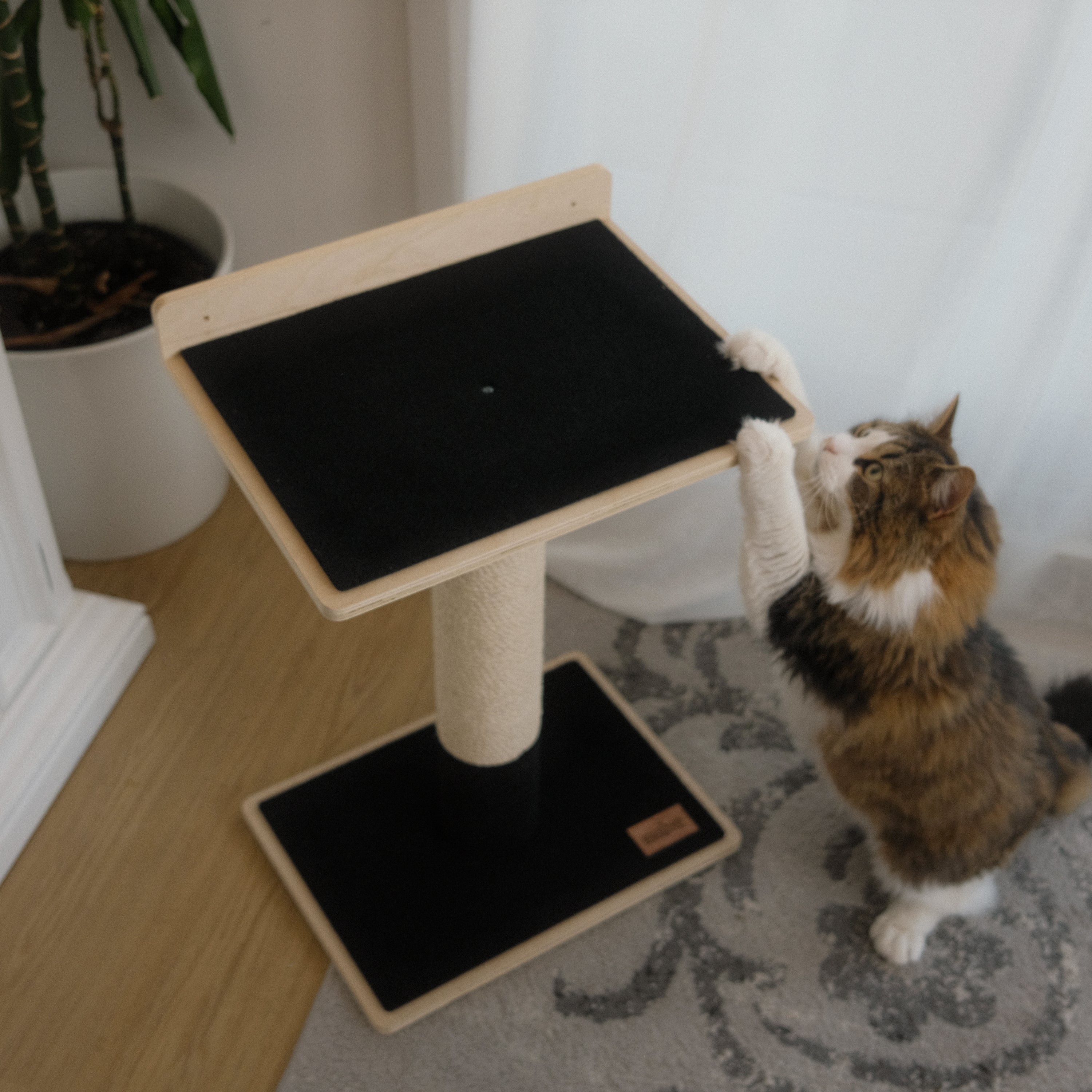 Plywood Cat Tree – 1 Tier