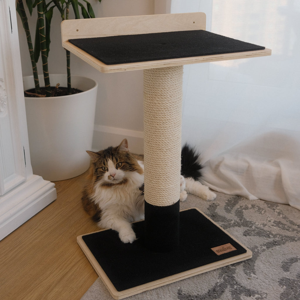 Plywood Cat Tree – 1 Tier