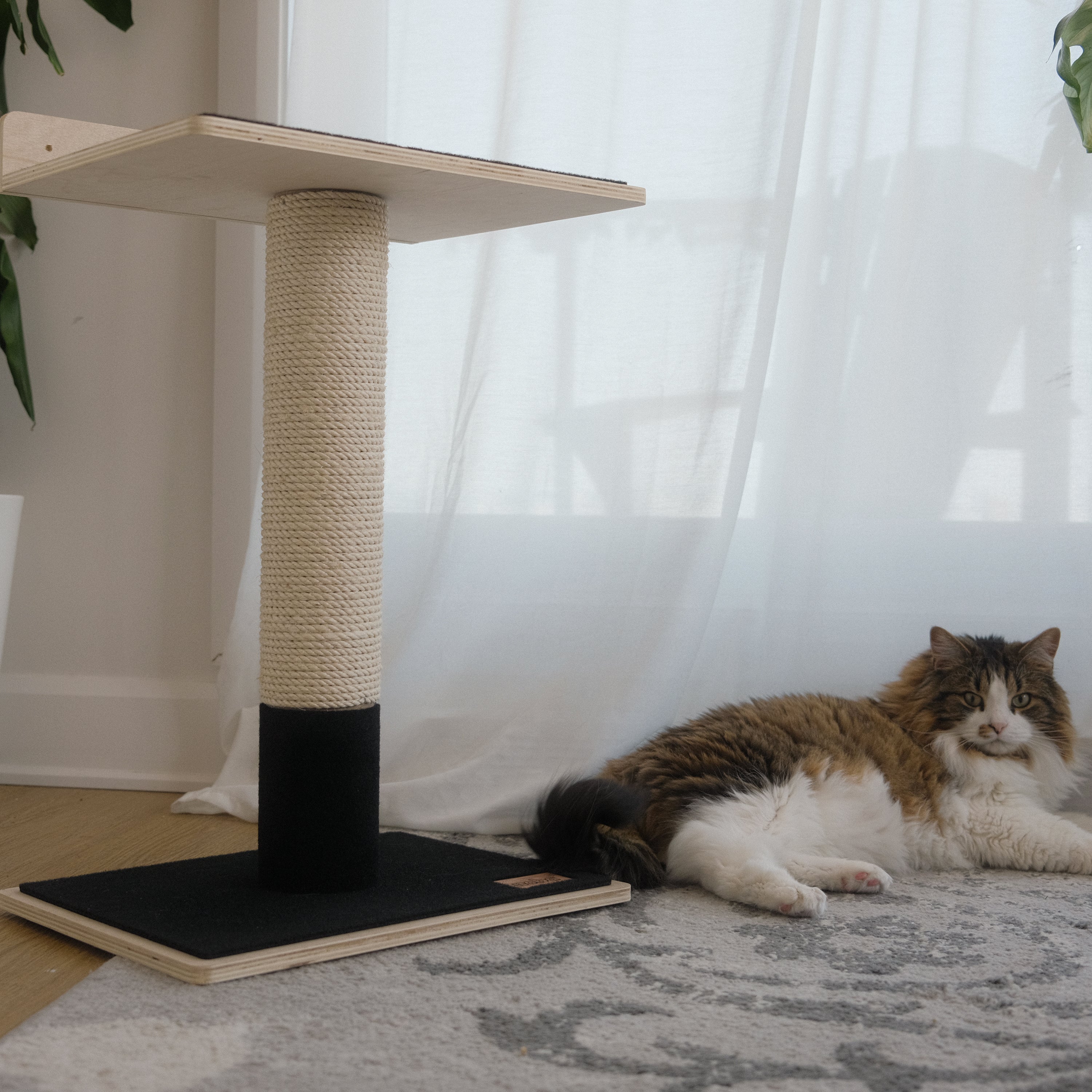 Plywood Cat Tree – 1 Tier