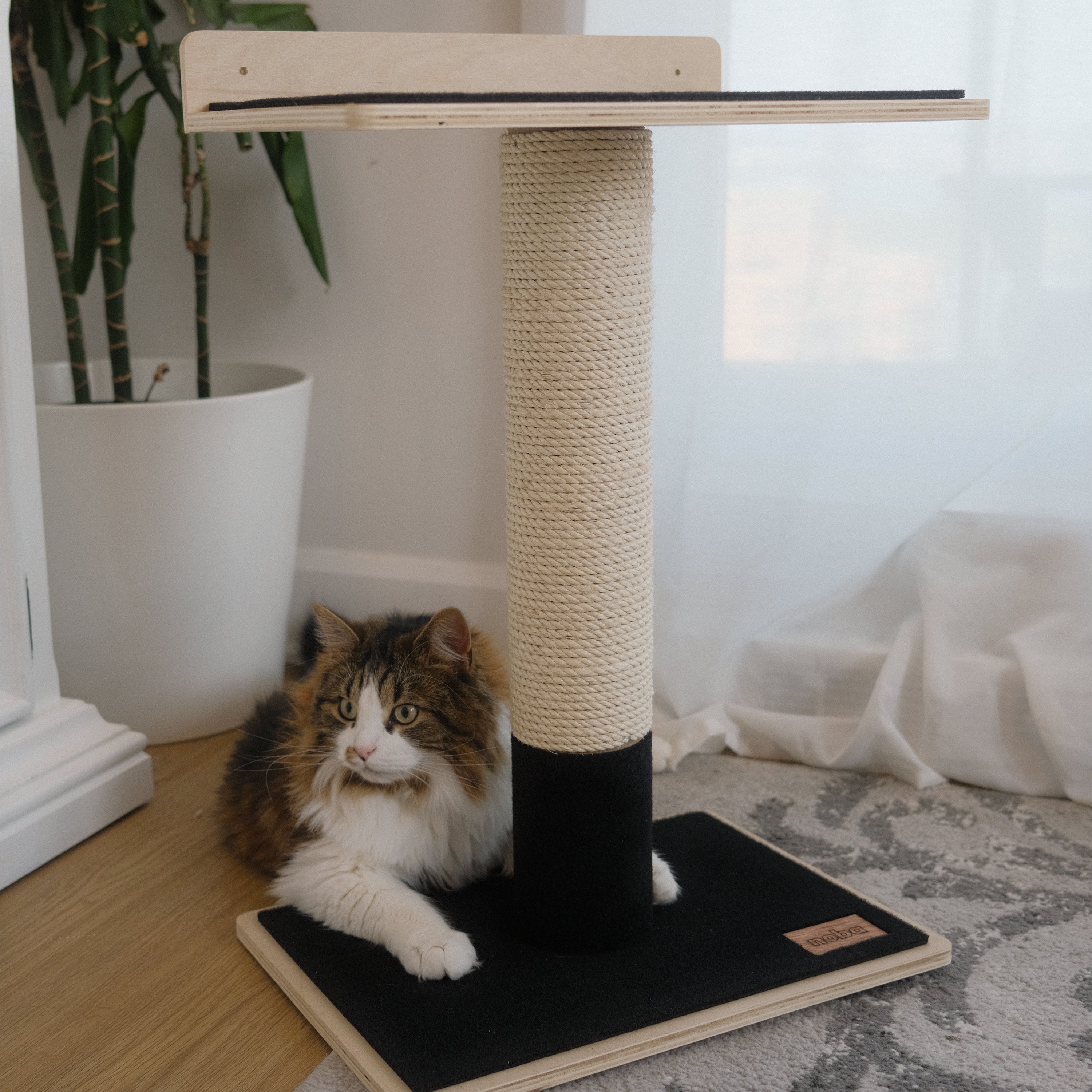 Plywood Cat Tree – 1 Tier