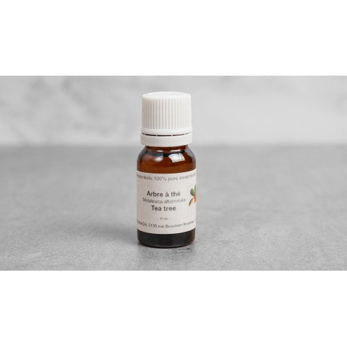 Tea Tree (Arbre à Thé)