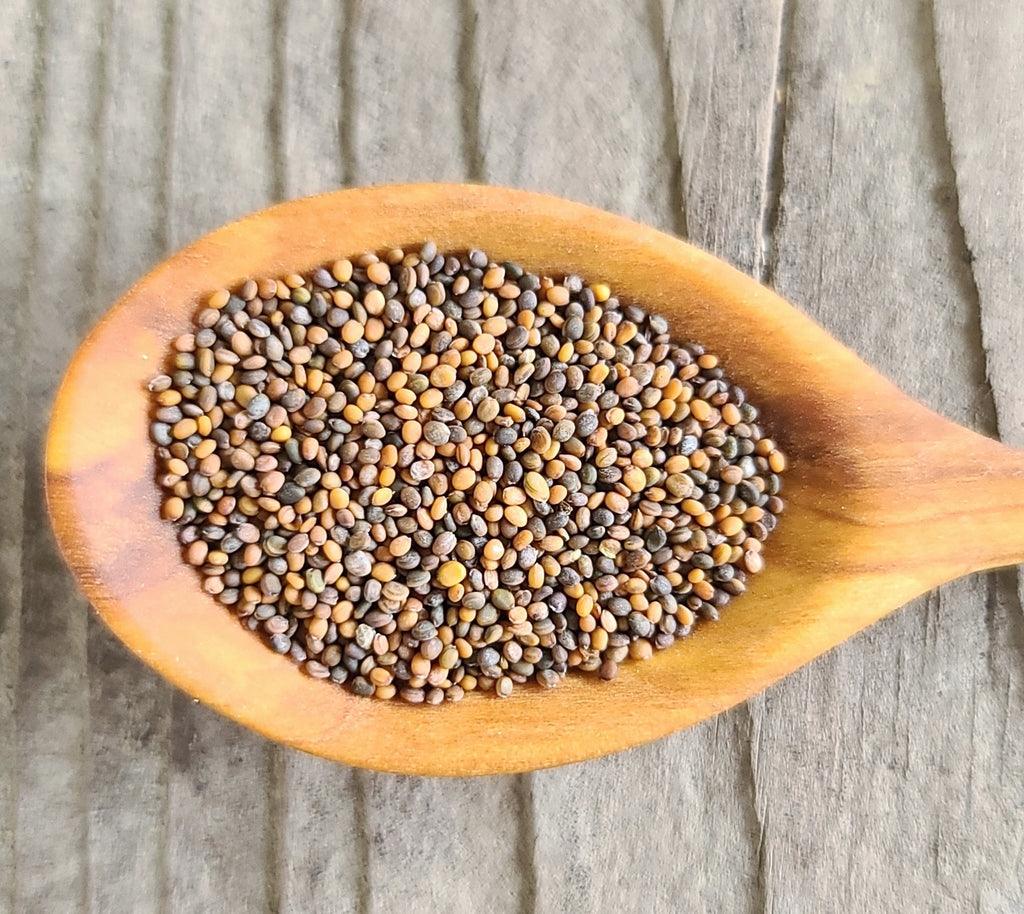 Arugula seeds