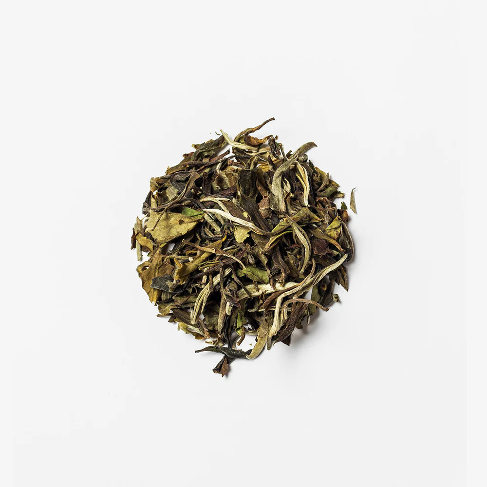 Thé blanc bio Bai Mu Dan