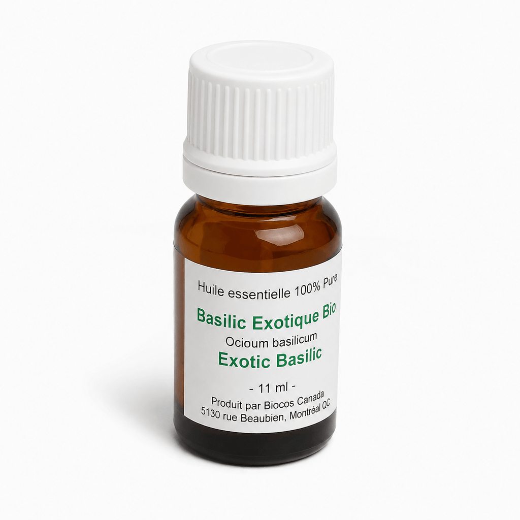 Basilic oil