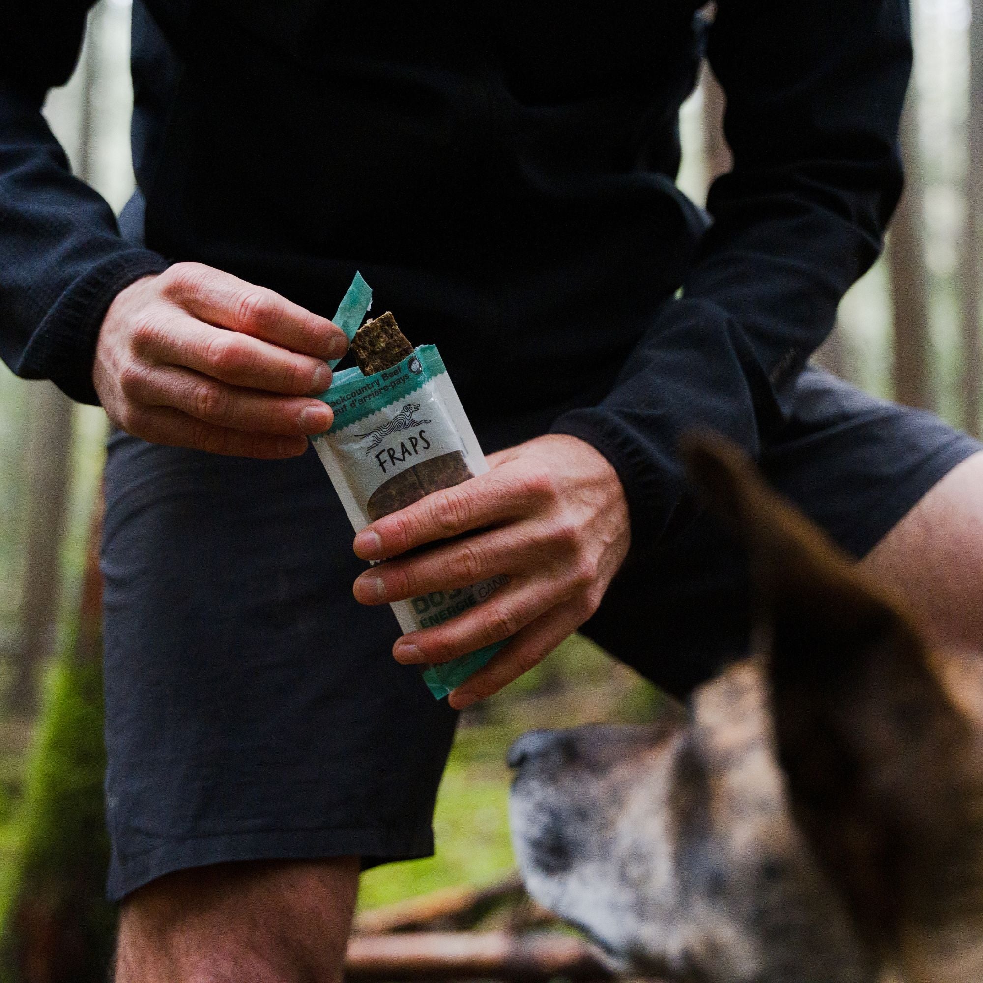 Beef and Pumpkin Energy Bar for Dogs