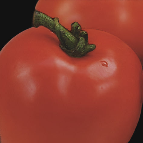 Best of All Tomato Seeds