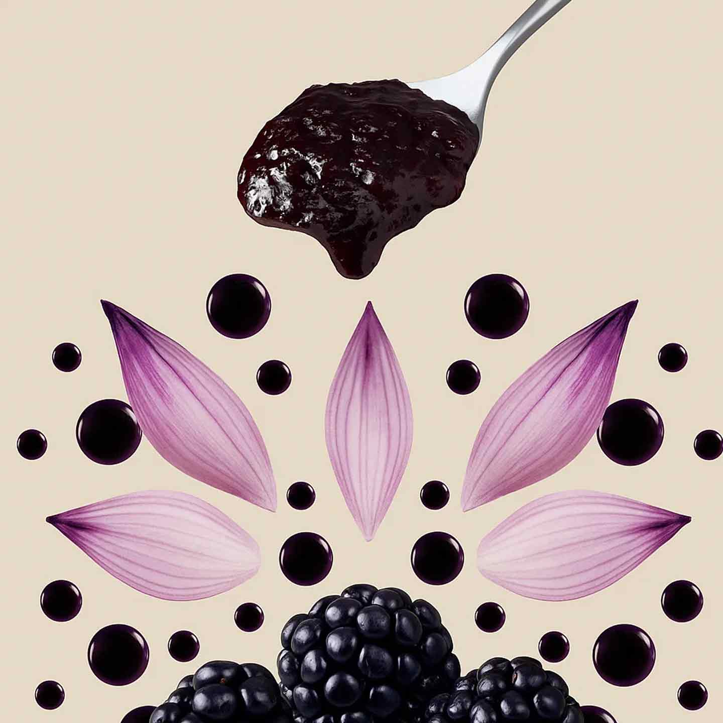 Extrait de mûre noire naturelle