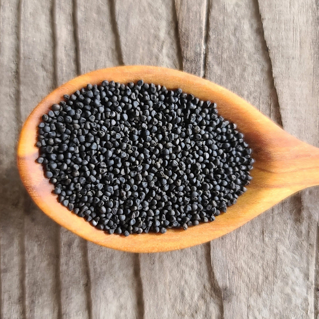 Sisyrinchium (Blue-eyed grasses) Seeds