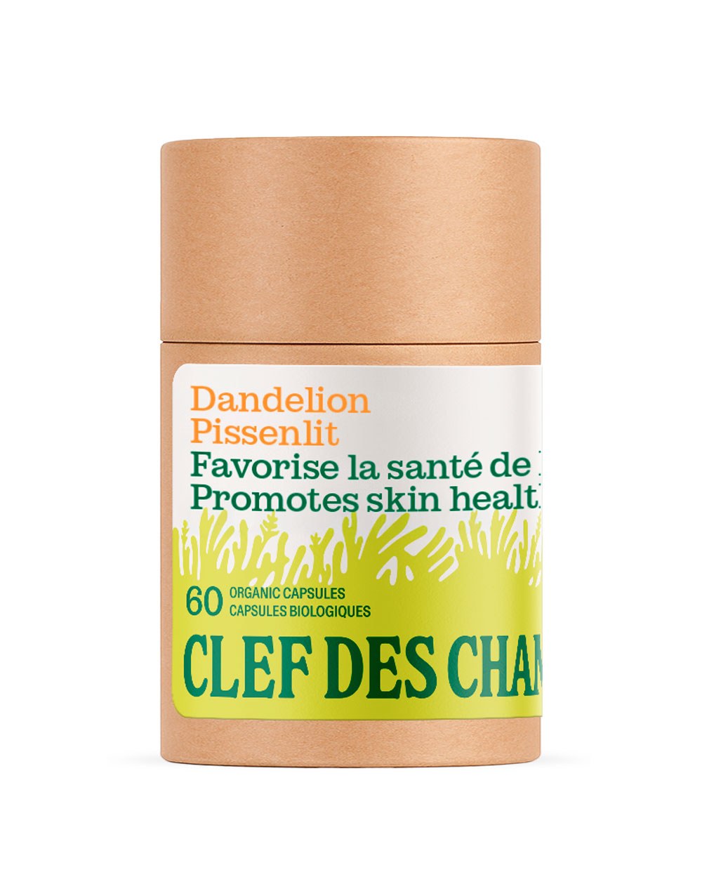 Pissenlit en capsules