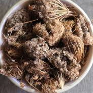 Carrot seeds