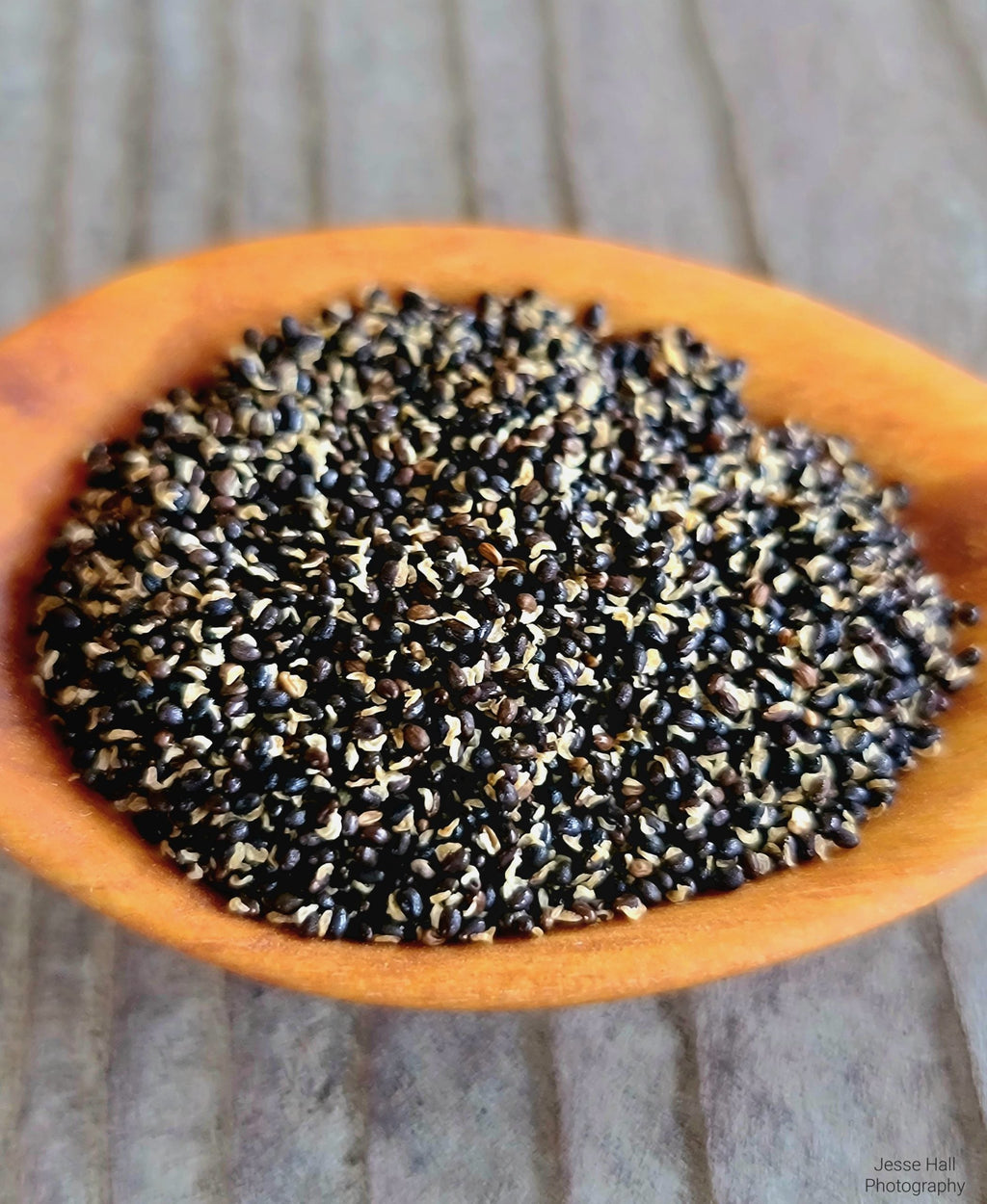 Greater Celandine Seeds