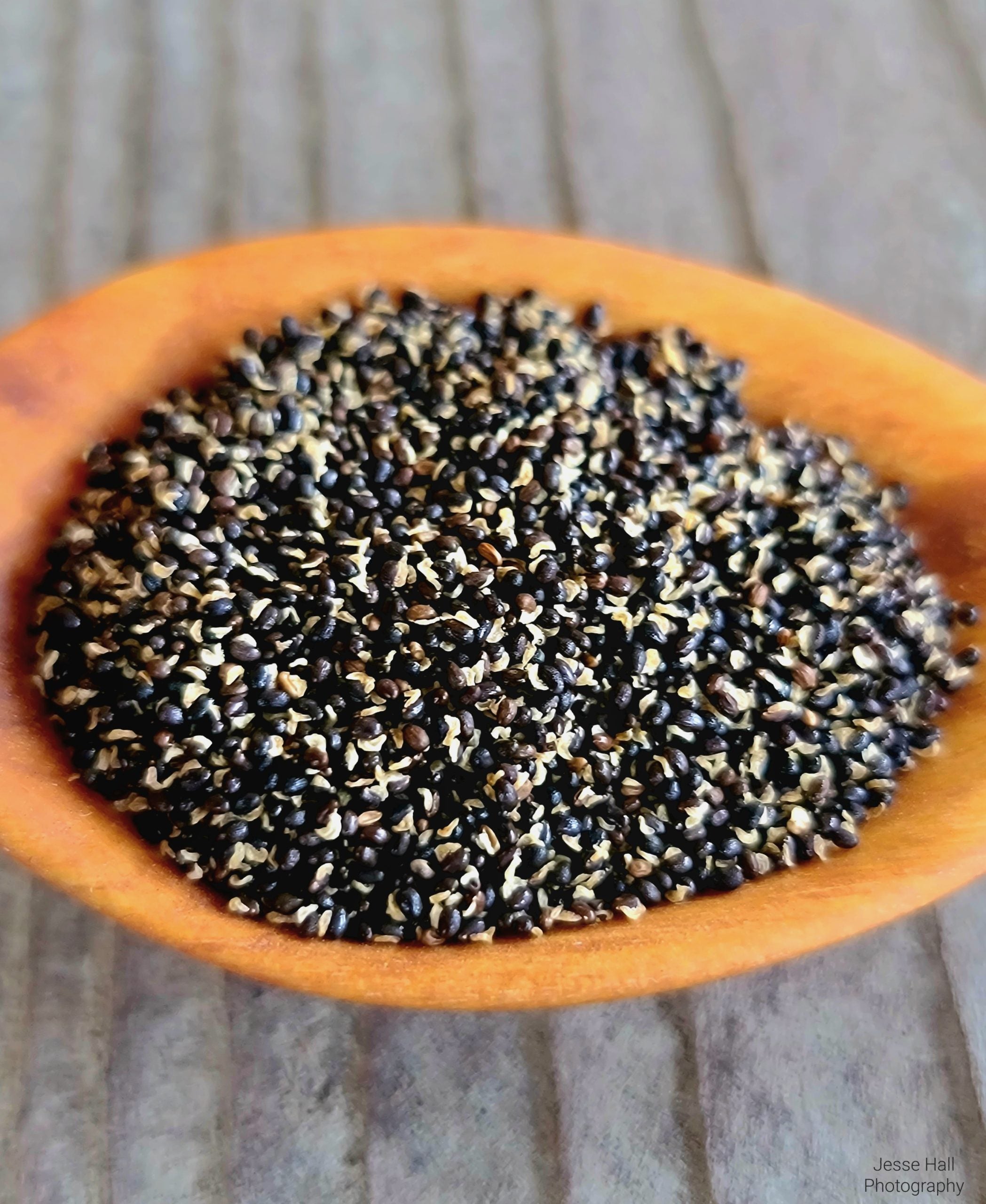Semences de Grande Chélidoine