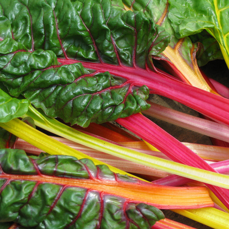 Swiss Chard Seeds