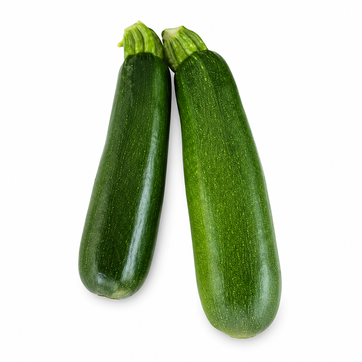 Semences de courgette Black Beauty (Zucchini)