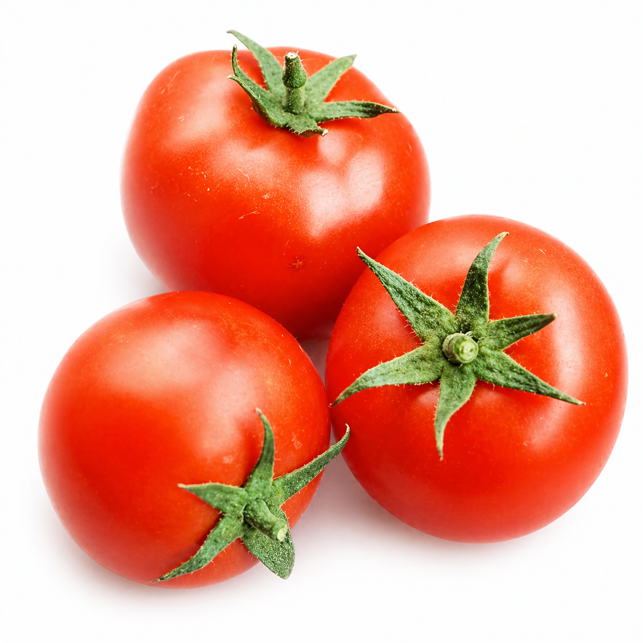 Semences de Tomate Rocket