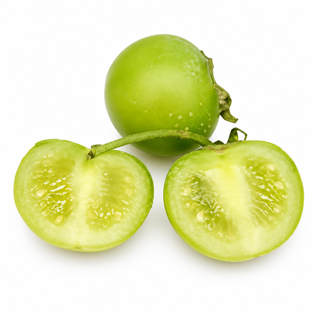 Semences de TPS Potato Fruit Seeds