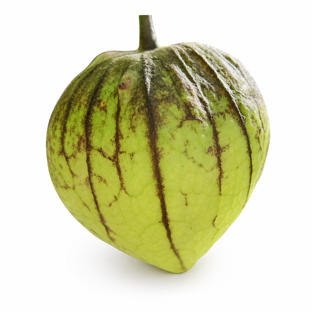 Semences de Tomatillos