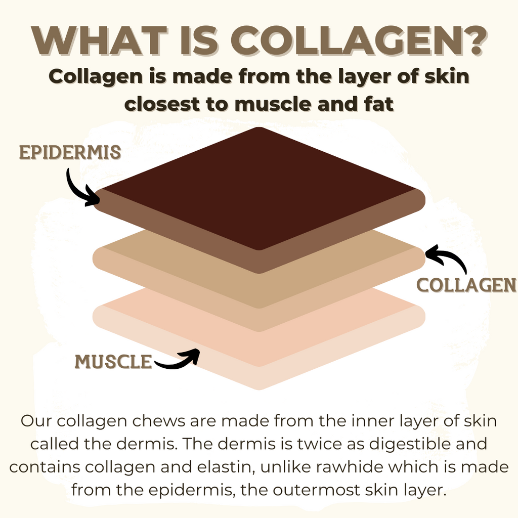 12" Braided Collagen Stick
