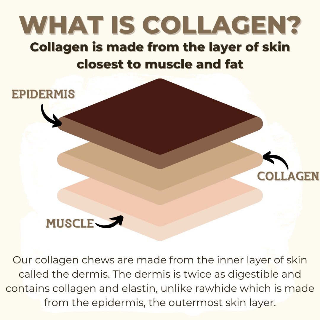 12" Braided Collagen Stick
