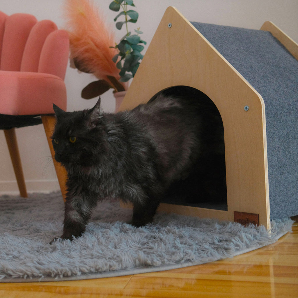 Noba Cottage – Maison griffoir confortable pour chat