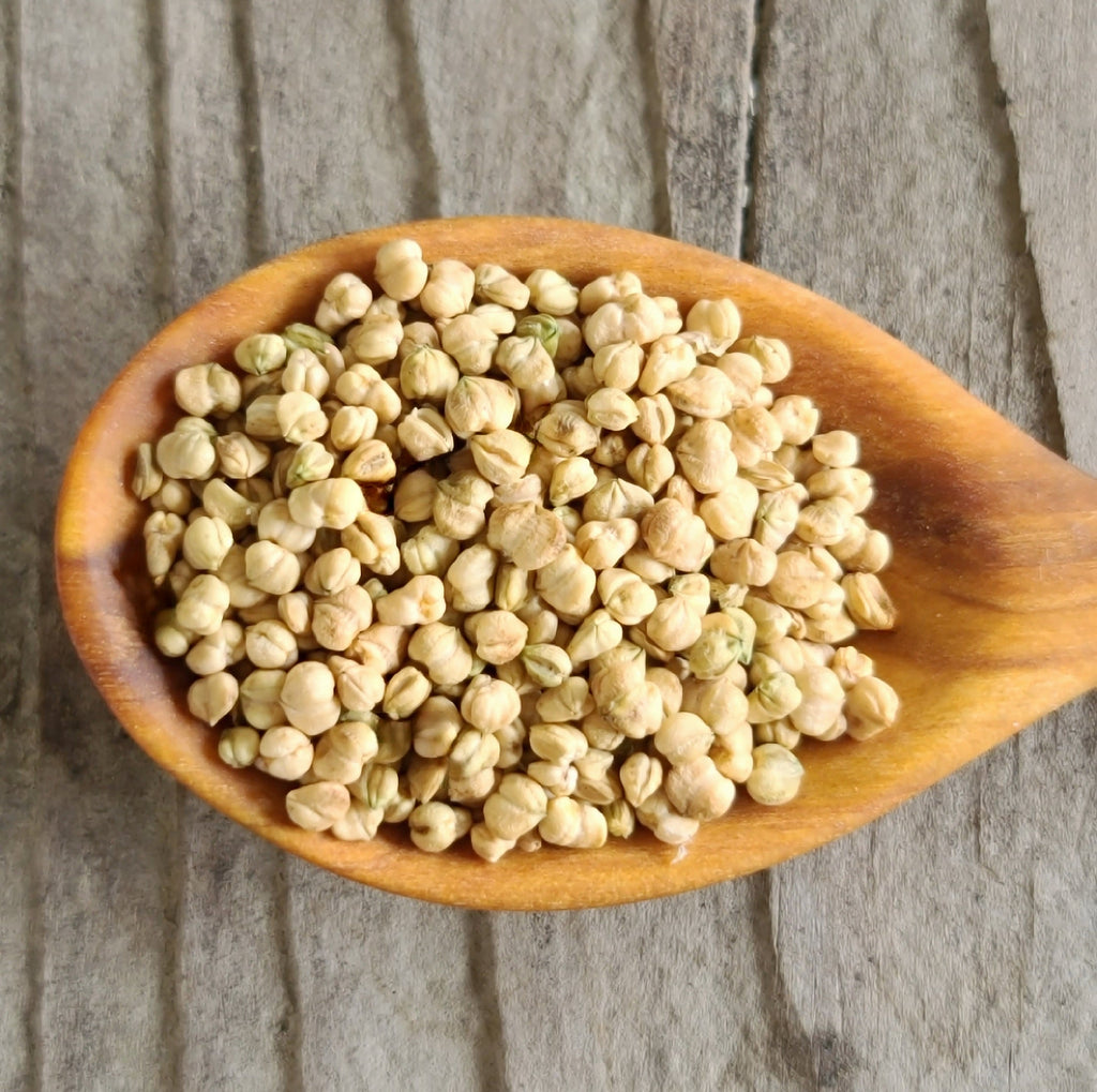 Corn Salad) seeds