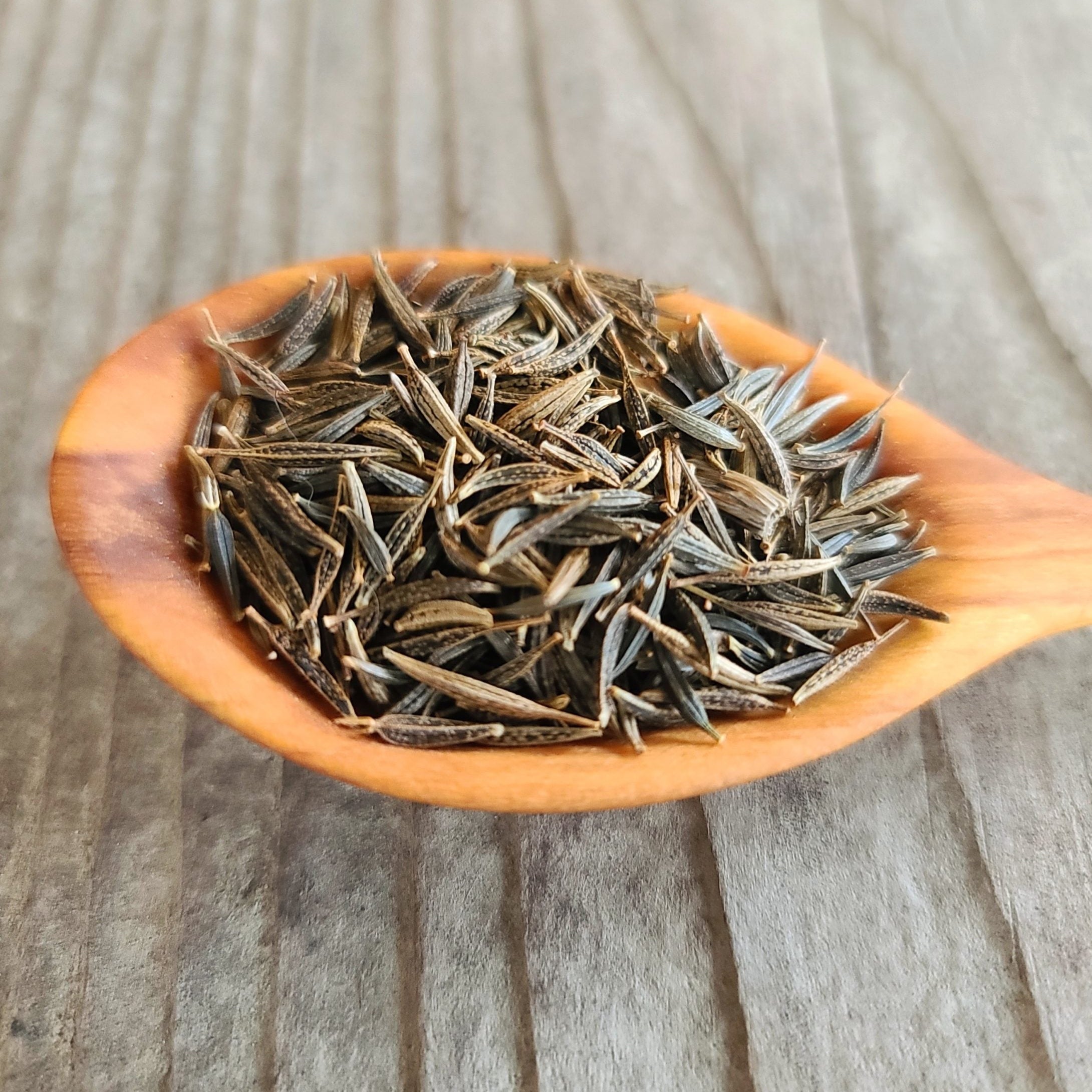 cosmos mix seeds