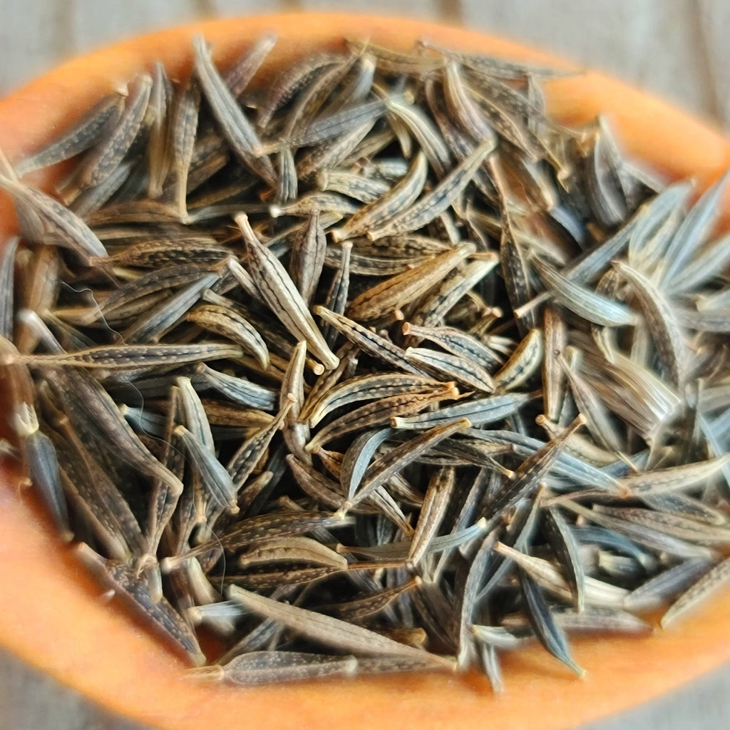 Sulphur Cosmos Seeds