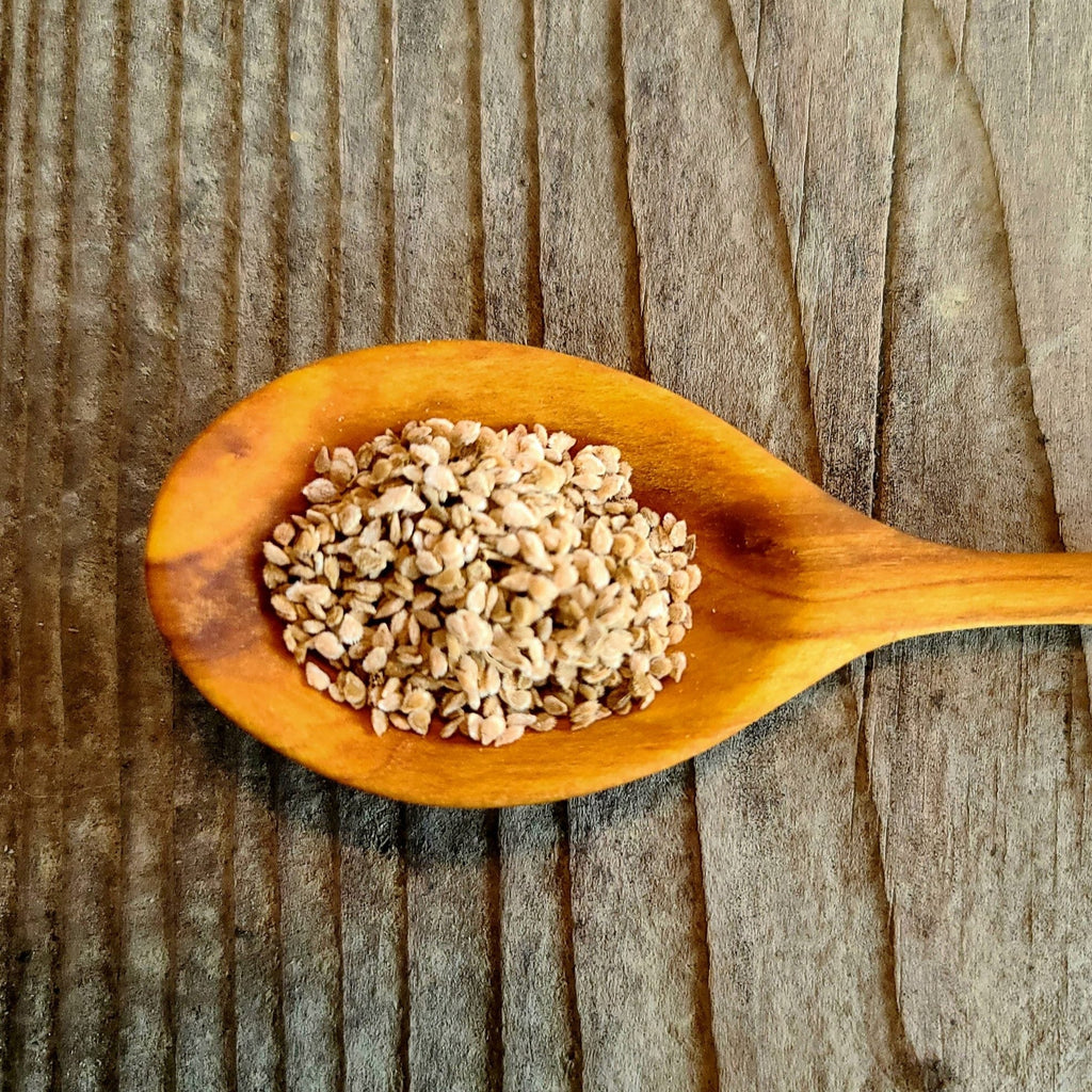 Yellow Coyote tomato seeds