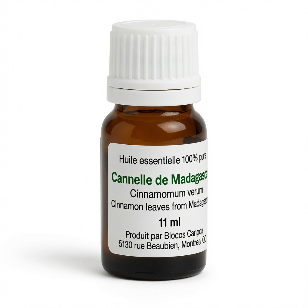 Cinnamon leaves oil