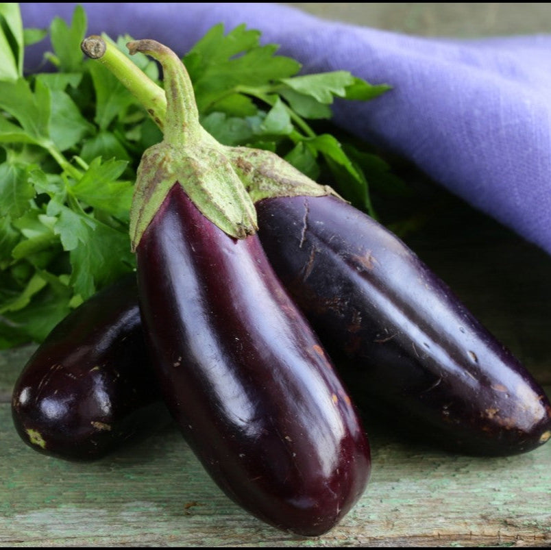 Mixed eggplant seeds